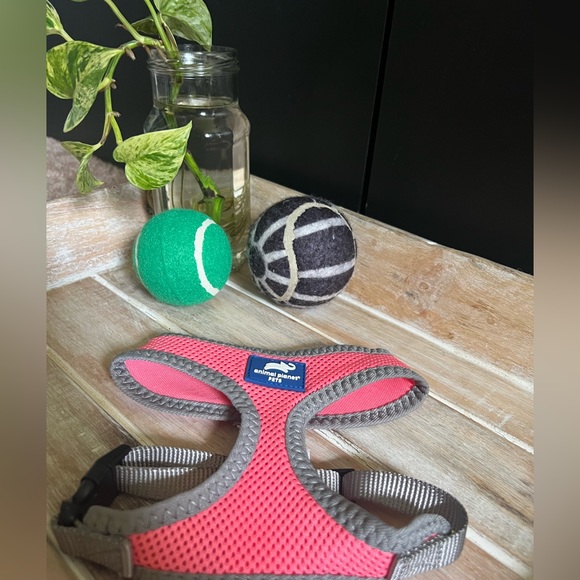 Set of small harnesses - Picture 3 of 5